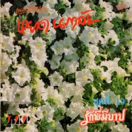 หยาด นภาลัย - ชุดที่ 19 - รักพี่มีบาป-web